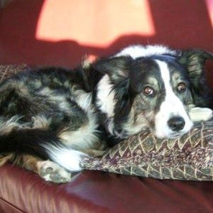 Meet your Posher, Carla